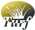 Turf Home Page